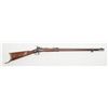 Image 1 : American Folk art decorated and inlaid Springfield  trapdoor rifle in .45-70 caliber, serial number 