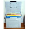 Image 1 : ELDON FILE BOX