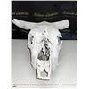 Image 1 : COW SKULL