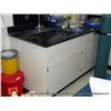 Image 1 : KEWAUNEE METAL & SLATE LAB TABLE W/ SINK