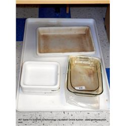 LOT: MISCELLANEOUS LAB TRAYS