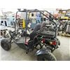 Image 4 : 2012 Tao Tao ATK 150C 149cc  2-Person Dune Buggy