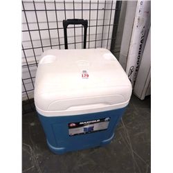 Igloo Cooler