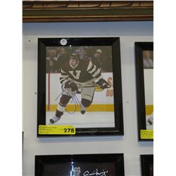 Autographed Tom Sestito photo