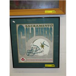 1994 Sacramento Gold Miners silkscreen logo