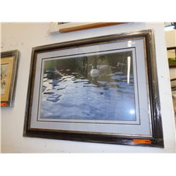 Framed print "Testing the Waters"