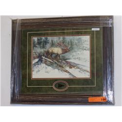 Framed print "200 Road Bull" by D. Bartholet