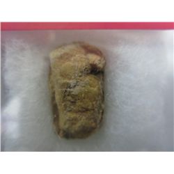 205 Million year old Coprolite (dinosaur feces)