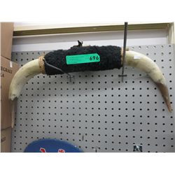 Wall mounted steer horn decoration