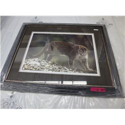 Framed print "A Glance" by Leslie Harrison