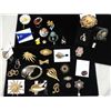Image 1 : LOT 31 ASSORTED BROACHES DECORATIVE PINS