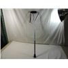 Image 1 : EXTENDABLE WALKING STICK WITH HANDLE