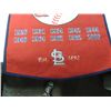 Image 2 : ST LOUIS CARDINALS WORLD SERIES CHAMPIONS BANNER