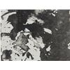 Image 2 : Betty Snyder Rees Original Abstract Print Tide Pool