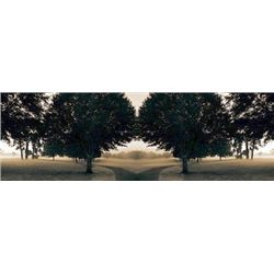 Rebecca Rowe Signed Nature Art Print Two Paths