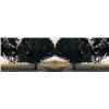 Image 1 : Rebecca Rowe Signed Nature Art Print Two Paths