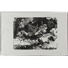 Image 1 : Betty Heredia Orig Woodcut Block Print Sea Movement II