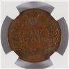 Image 3 : 1878 INDIAN HEAD CENT, NGC VF-35 BROWN