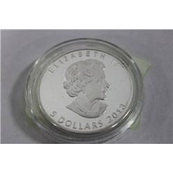 2013 SILVER DOLLAR