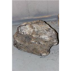 LARGE PIECE OF PETRIFIED WOOD AS THEY COME