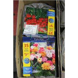 BOX OF TULIP BULBS