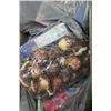 Image 1 : BOX OF TULIP BULBS