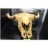 Image 1 : COW SKULL