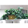 Image 1 : SHOWHOME ARTIFICIAL PLANT