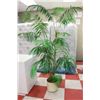 Image 1 : LARGE ESTATE FLOOR PLANT