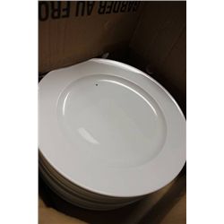 CASE OF 12" LARGE SERVING PLATES