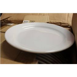 CASE OF NEW 8" PLATES (36PC. PER CASE)