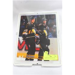 MARIO LEMIEUX & JAROMIR JAGR FRAMED HOCKEY PICTURE