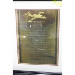 HIGH FLIGHT ETCHED BRASS FRAMED