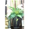Image 1 : SHOWHOME ARTIFICIAL FLOWER ARRANGEMENT