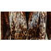 Image 2 : Rare full length leopard seal skin fur coat, size unknown, COND VG, minor spots in fur