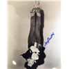 Image 1 : Tony Curtis signed large Houdini image