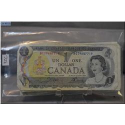 Stack of thirty three Canadian one dollar bills