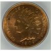 Image 2 : 1909- INDIAN HEAD CENT SEGS MS-64 RB