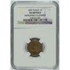 Image 1 : 1857 FLYING EAGLE CENT NGC VG DETAILS