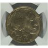 Image 2 : 1913 I BUFFALO NICKEL NGC MS-62