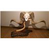 Image 1 : Artwork:  Creations in Antler:  Marco Polo Sculpture