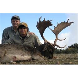 Spain:  Hunt Trip Spain, 5-day European Fallow Deer Hunt for One Hunter and One Observer