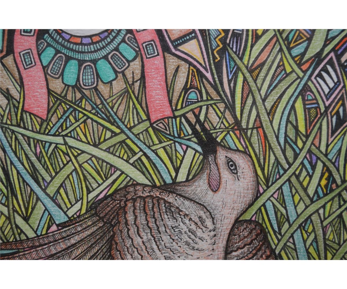 Hopi Rabbit Drawing ORIGINAL HOPI DRAWING