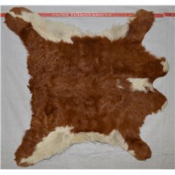 CALF HIDE