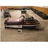 Image 3 : 1981 Arctic Cat Panther   SN-1023728