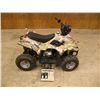Image 1 : 2011 Taotao 110 cc Youth ATV  SN#L5NATMCT49T220302