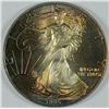 Image 1 : 1995 AMERICAN SILVER EAGLE, MONSTER TONING  ON THE OBVERSE, GORGEOUS COIN!