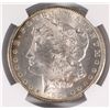 Image 3 : 1884-CC MORGAN DOLLAR NGC MS-62 (STAR) (AWESOME TONING)