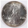 Image 1 : 1989 SILVER AMERICAN EAGLE