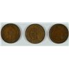 Image 1 : INDIAN CENT LOT: ALL XF: 1884, 1885 AND 1894 ALL SEMI KEY DATES